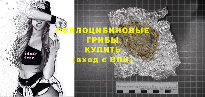 купить  цена  Кузнецк  Галлюциногенные грибы Psilocybine cubensis 